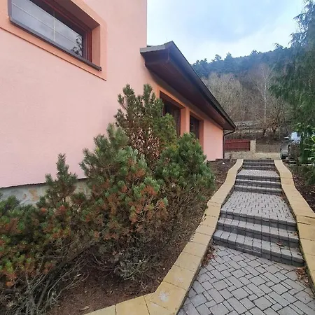 Almini Drienica Lysa